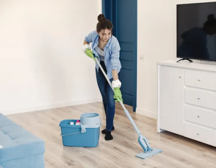 Femme de ménage Lansac